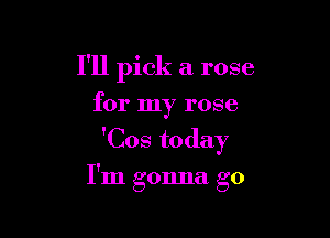 I'll pick a rose
for my rose

'Cos today

I'm gonna go