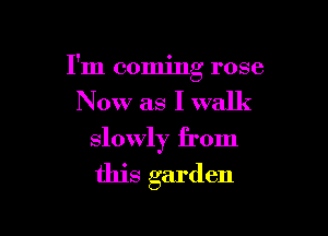 I'm coming rose

Now as I walk

slowly from

this garden