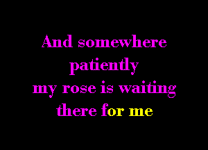 And somewhere
patiently
my rose is waiting
there for me