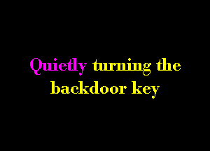 Quietly turning the

backdoor key