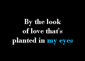 By the look

of love that's
planted in my eyes