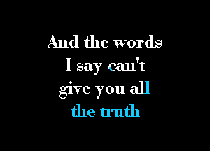 And the words
I say can't

give you all
the truth