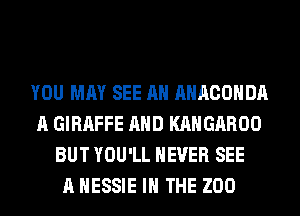 YOU MAY SEE AH AHACOHDA
A GIRAFFE AND KAHGAROO
BUT YOU'LL NEVER SEE
A HESSIE IN THE ZOO