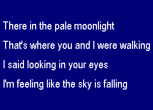 There in the pale moonlight
Thafs where you and l were walking

I said looking in your eyes

I'm feeling like the sky is falling