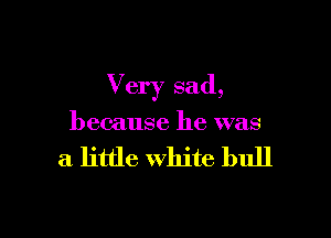 Very sad,

because he was

a little White bull