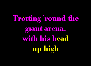 Trotting 'round the
giant arena,
With his head
11p high