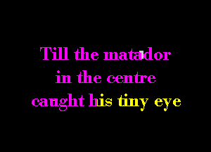 Till the matador

in the centre

caught his tiny eye

g