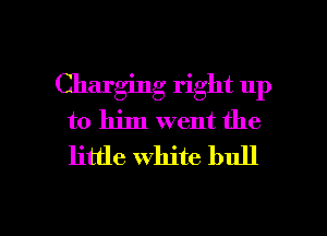 Charging right up
to him went the
little white bull

g