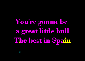 You're gonna be
a great little bull
The best in Spain

g