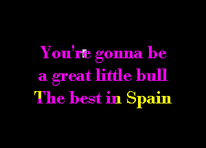 You'rlb gonna be
a great little bull
The best in Spain

g