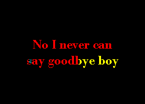 No I never can

say goodbye boy