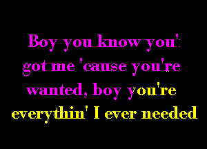 Boy you know you'z
got me 'cause you're
wanted, boy you're

everythin' I ever needed