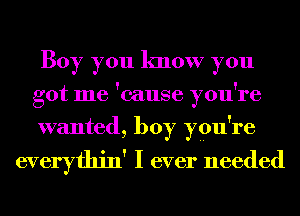 Boy you know you
got me 'cause you're
wanted, boy ypu're

everythin' I ever needed