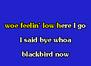 woe feelin' low here I go

lsaid bye whoa

blackbird now