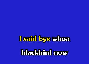 lsaid bye whoa

blackbird now