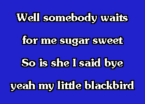 Well somebody waits
for me sugar sweet

So is she I said bye
yeah my little blackbird