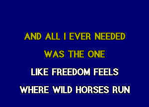 AND ALL I EVER NEEDED
WAS THE ONE
LIKE FREEDOM FEELS

WHERE WILD HORSES RUN l