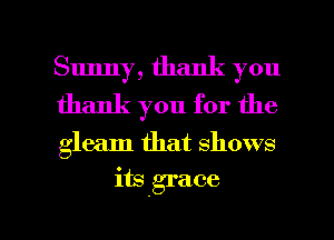 Sunny, thank you
thank you for the

gleam that shows

its grace

g