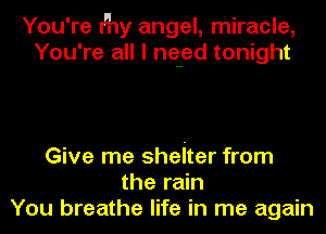 You're I'hy angel, miracle,
You're all I ne-ed tonight

Give me sheiter from
the rain
You breathe life in me again