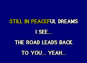 STILL IN PEACEFUL DREAMS

I SEE.
THE ROAD LEADS BACK
TO YOU.. YEAH..