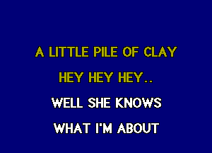 A LITTLE PlLE OF CLAY

HEY HEY HEY..
WELL SHE KNOWS
WHAT I'M ABOUT