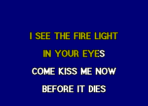 I SEE THE FIRE LIGHT

IN YOUR EYES
COME KISS ME NOW
BEFORE IT DIES