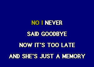 NO I NEVER

SAID GOODBYE
NOW IT'S TOO LATE
AND SHE'S JUST A MEMORY