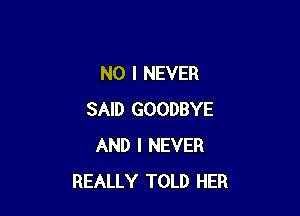 NO I NEVER

SAID GOODBYE
AND I NEVER
REALLY TOLD HER