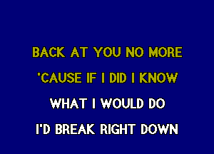 BACK AT YOU NO MORE

'CAUSE IF I DID I KNOW
WHAT I WOULD D0
I'D BREAK RIGHT DOWN