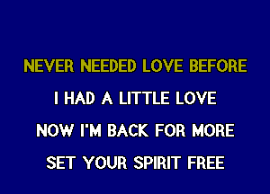 NEVER NEEDED LOVE BEFORE
I HAD A LITTLE LOVE
NOW I'M BACK FOR MORE
SET YOUR SPIRIT FREE