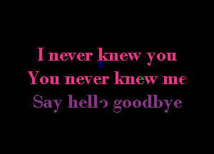 I never lmew you
You never knew me

Say hello goodbye

g