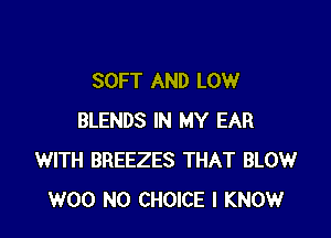 SOFT AND LOW

BLENDS IN MY EAR
WITH BREEZES THAT BLOW
W00 N0 CHOICE I KNOW