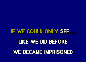 IF WE COULD ONLY SEE...
LIKE WE DID BEFORE
WE BECAME IMPRISONED