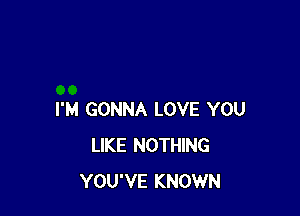 I'M GONNA LOVE YOU
LIKE NOTHING
YOU'VE KNOWN