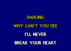 DARLING

WHY CAN'T YOU SEE
I'LL NEVER
BREAK YOUR HEART