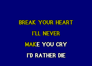BREAK YOUR HEART

I'LL NEVER
MAKE YOU CRY
I'D RATHER DIE