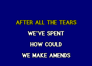 AFTER ALL THE TEARS

WE'VE SPENT
HOW COULD
WE MAKE AMENDS