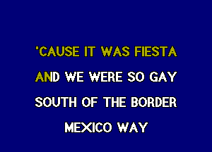 'CAUSE IT WAS FIESTA

AND WE WERE SO GAY
SOUTH OF THE BORDER
MEXICO WAY
