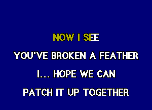 NOW I SEE

YOU'VE BROKEN A FEATHER
I... HOPE WE CAN
PATCH IT UP TOGETHER