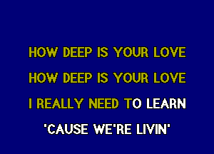 HOWr DEEP IS YOUR LOVE

HOWr DEEP IS YOUR LOVE

I REALLY NEED TO LEARN
'CAUSE WE'RE LIVIN'