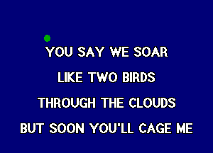 YOU SAY WE SOAR

LIKE TWO BIRDS
THROUGH THE CLOUDS
BUT SOON YOU'LL CAGE ME
