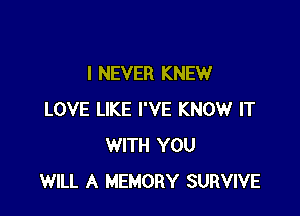 I NEVER KNEW

LOVE LIKE I'VE KNOW IT
WITH YOU
WILL A MEMORY SURVIVE