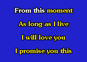 From this moment

As long as I live

I will love you

I promise you ibis
