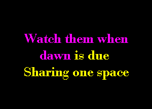 W atch them when
dawn is due

Sharing one space

g