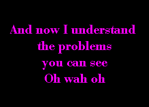 And now I understand
the problems

you can see

Oh wall 011