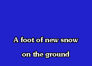 A foot of new snow

on the ground