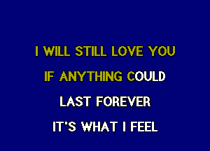 I WILL STILL LOVE YOU

IF ANYTHING COULD
LAST FOREVER
IT'S WHAT I FEEL