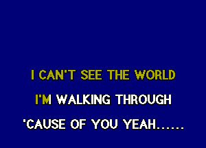 I CAN'T SEE THE WORLD
I'M WALKING THROUGH
'CAUSE OF YOU YEAH ......