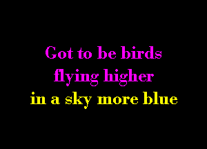 Got to be birds
flying higher

in a sky more blue