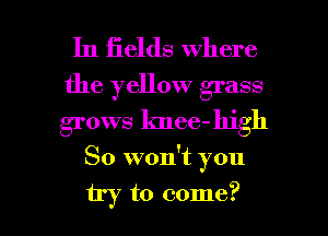 In fields where
the yellow grass
grows knee-high

So won't you

try to come? I
